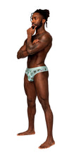 Load image into Gallery viewer, Sheer Prints Thong Flamingo L/xl
