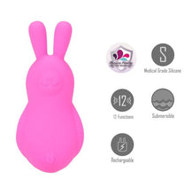 Load image into Gallery viewer, Bri Vibrating Bunny Pink
