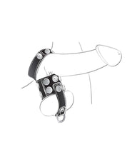 Load image into Gallery viewer, Ballgear Ball Stretcher With Separator &amp; D-ring Black

