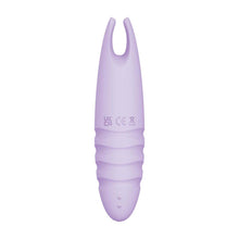 Load image into Gallery viewer, Sorbet Purple Passion Lavender
