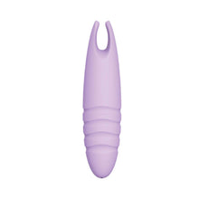 Load image into Gallery viewer, Sorbet Purple Passion Lavender
