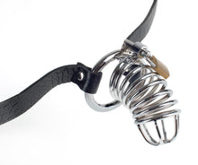Load image into Gallery viewer, Fetish Fantasy Extreme Chastity Belt

