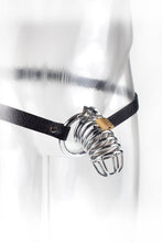 Load image into Gallery viewer, Fetish Fantasy Extreme Chastity Belt

