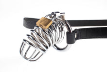 Load image into Gallery viewer, Fetish Fantasy Extreme Chastity Belt
