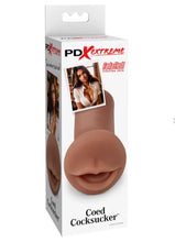 Load image into Gallery viewer, Pdx Extreme Coed Cocksucker Brown
