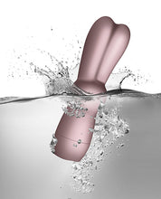 Load image into Gallery viewer, Sugarboo Bunnie Boo Blush

