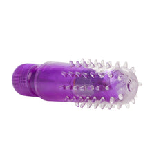 Load image into Gallery viewer, Travel Blaster Purple W/p
