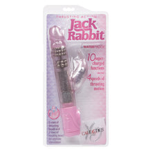 Load image into Gallery viewer, Thrusting Jack Rabbit Pink
