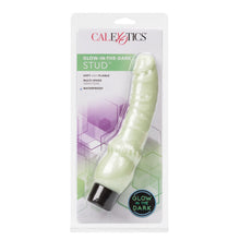 Load image into Gallery viewer, Stud Mint Glow In The Dark W/p
