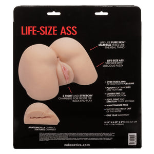 Stroke It Life-size Ass Ivory