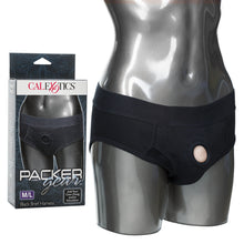 Load image into Gallery viewer, Packer Gear Black Brief Harness M/l
