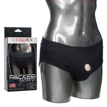 Load image into Gallery viewer, Packer Gear Black Brief Harness L/xl
