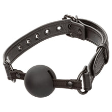 Load image into Gallery viewer, Nocturnal Ballgag
