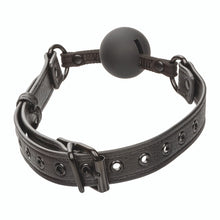 Load image into Gallery viewer, Nocturnal Ballgag

