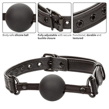 Load image into Gallery viewer, Nocturnal Ballgag
