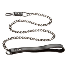 Load image into Gallery viewer, Euphoria Collar W/ Chain Leash
