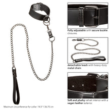 Load image into Gallery viewer, Euphoria Collar W/ Chain Leash
