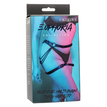 Load image into Gallery viewer, Euphoria Plus Size Multi Chain Thigh Harness
