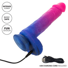 Load image into Gallery viewer, Naughty Bits Ombre Hombre Xl Vibrating Dildo
