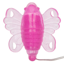 Load image into Gallery viewer, (bulk) Venus Butterfly Original
