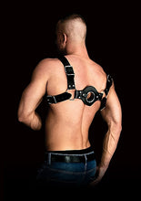 Load image into Gallery viewer, Ouch! Costas Solid Structure 1 Black Harness
