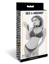 Load image into Gallery viewer, S&amp;m Brat Collar &amp; Leash
