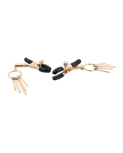 Load image into Gallery viewer, Sex &amp; Mischief Verge Nipple Clamps
