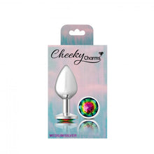 Load image into Gallery viewer, Cheeky Charms Round Rainbow Medium Silver Plug
