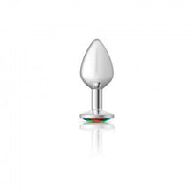 Load image into Gallery viewer, Cheeky Charms Round Rainbow Medium Silver Plug
