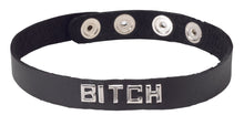 Load image into Gallery viewer, Sm Collar-bitch
