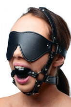 Load image into Gallery viewer, Strict Eye Mask Harness W/ Ball Gag
