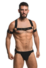 Load image into Gallery viewer, Master Series Elastic Chest Harness W/ Arm Bands L/xl

