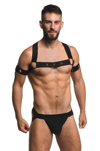 Master Series Elastic Chest Harness W/ Arm Bands L/xl