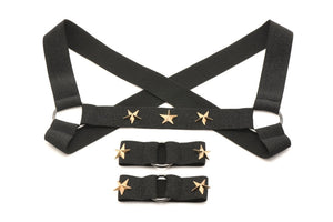 Master Series Elastic Chest Harness W/ Arm Bands L/xl