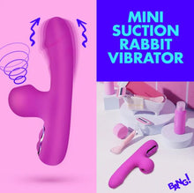 Load image into Gallery viewer, Mini Suction Rabbit Vibrator Purple

