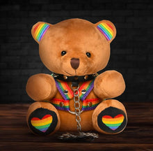 Load image into Gallery viewer, Master Series Pride Bear
